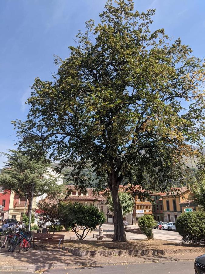 Hotel La Plaza Proaza Kültér fotó